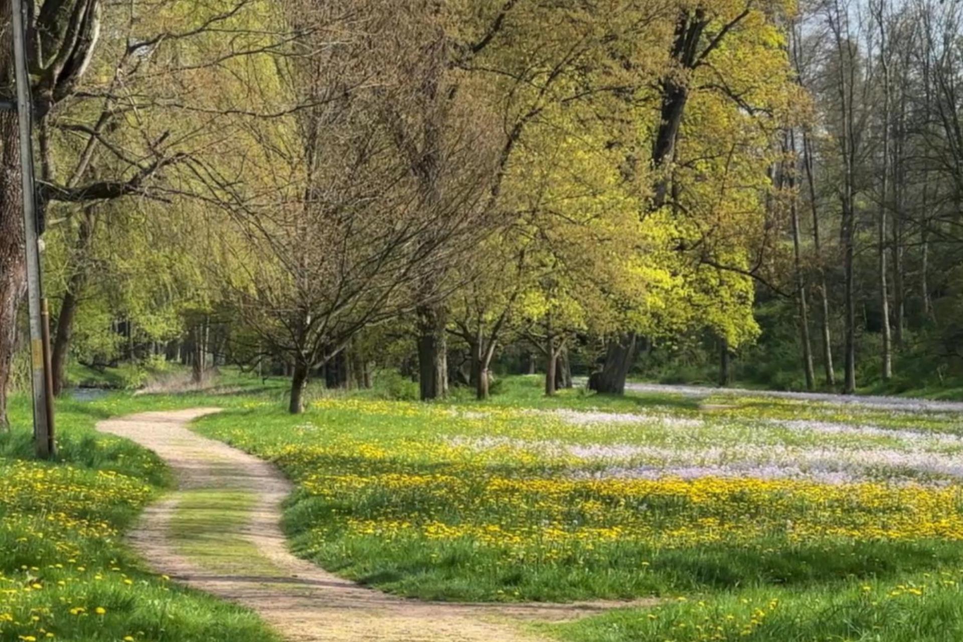 Palac Lomnica - Karkonosze / Riesengebirge Jelenia Gora Dış mekan fotoğraf